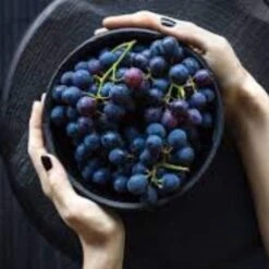 'Vanessa' Seedless Outdoor Grape Vine 5 'Vanessa' Seedless Outdoor Grape Vine -PlantHaven Store FRU0063 2