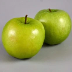 Granny Smith Apple Tree -PlantHaven Store FRU0227 3