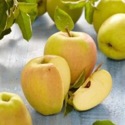 Golden Delicious Apple Tree -PlantHaven Store FRU0229 2