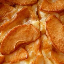 Bramley's Seedling Cordon Apple Tree -PlantHaven Store FRU0258 4 42cffabe a4d3 4601 9d07 886e881b0539