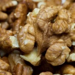 'Buccaneer' Walnut Tree 6 'Buccaneer' Walnut Tree -PlantHaven Store FRU0413 3