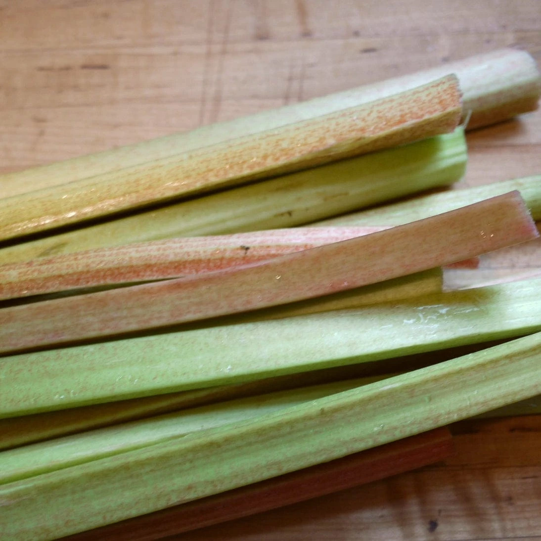 'Victoria' Rhubarb Plant 3 'Victoria' Rhubarb Plant - Image 3