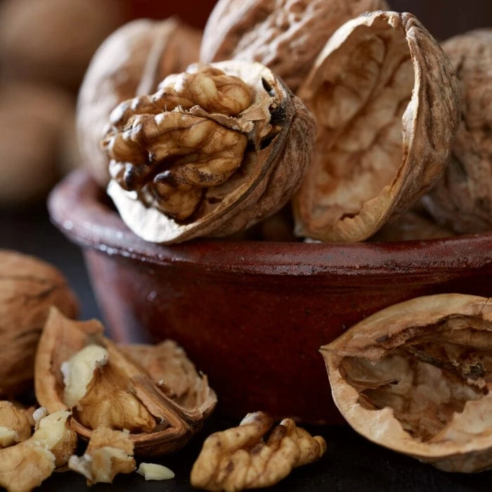 Walnut Tree | Juglans Regia 2 Walnut Tree | Juglans Regia - Image 2