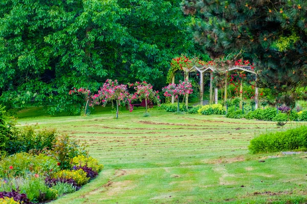 Front Page -PlantHaven Store background25