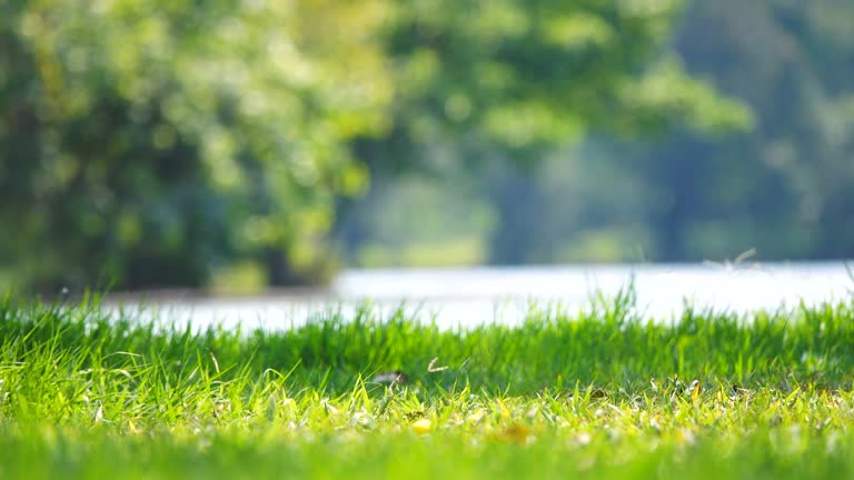 Front Page -PlantHaven Store background35